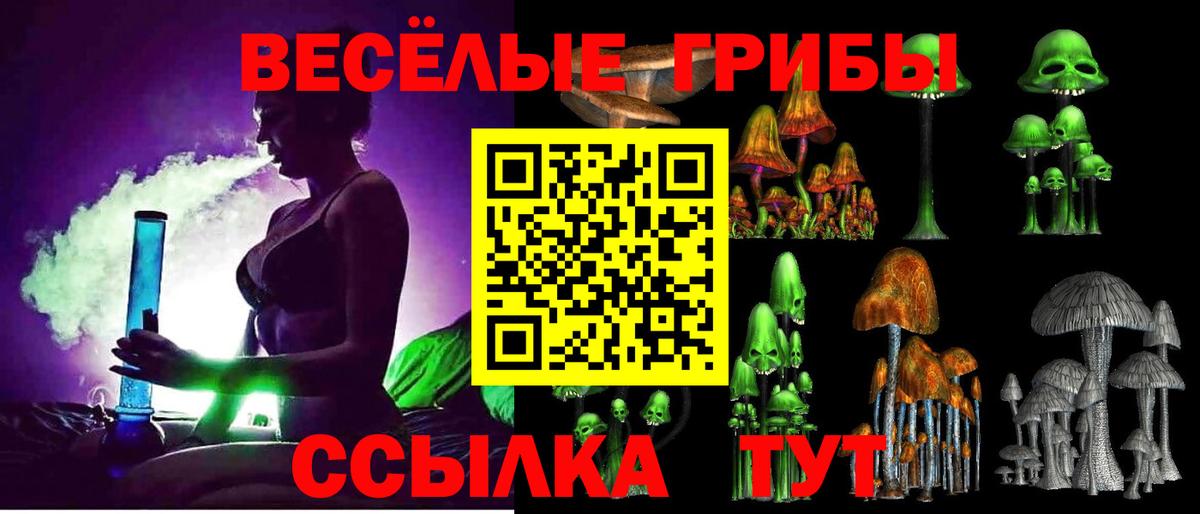 Галлюциногенные грибы мицелий Полысаево